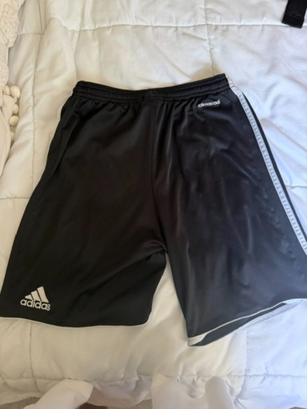 Adidas Soccer Shorts